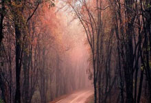 天涯社区地址大揭秘