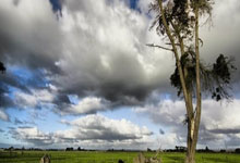 天涯社区地址大揭秘