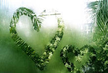 天涯社区女孩的网络冒险