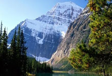 天涯社区安徽站真暖心！网友互相倾诉烦恼解闷又能找路子